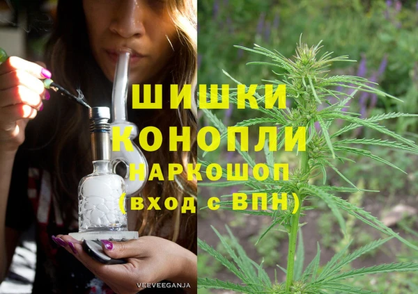 винт Абаза