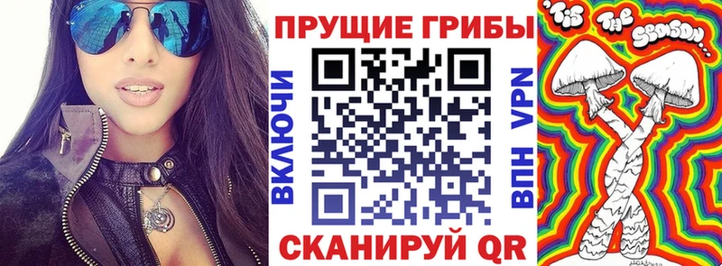 это какой сайт  Зея  Псилоцибиновые грибы прущие грибы 